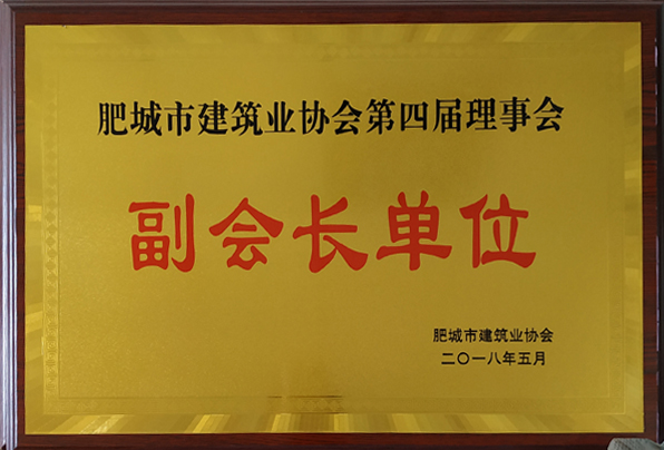 肥城市建筑業(yè)協(xié)會副會長單位